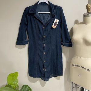 Denim Dress fitted